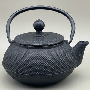 Cast Iron Tea Kettle | Black Enamel Lined | Hobnail Japanese Style Teapot